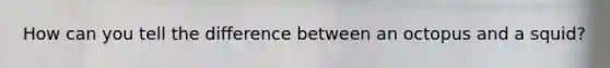 How can you tell the difference between an octopus and a squid?