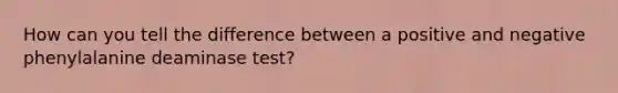 How can you tell the difference between a positive and negative phenylalanine deaminase test?