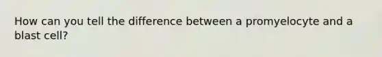 How can you tell the difference between a promyelocyte and a blast cell?