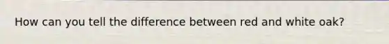 How can you tell the difference between red and white oak?