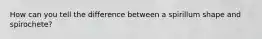 How can you tell the difference between a spirillum shape and spirochete?