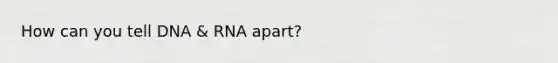 How can you tell DNA & RNA apart?