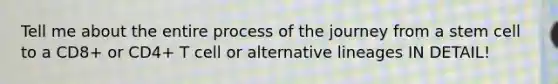 Tell me about the entire process of the journey from a stem cell to a CD8+ or CD4+ T cell or alternative lineages IN DETAIL!