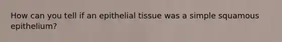 How can you tell if an <a href='https://www.questionai.com/knowledge/k7dms5lrVY-epithelial-tissue' class='anchor-knowledge'>epithelial tissue</a> was a simple squamous epithelium?