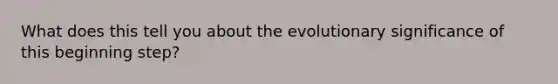 What does this tell you about the evolutionary significance of this beginning step?