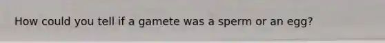 How could you tell if a gamete was a sperm or an egg?