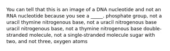 You can tell that this is an image of a DNA nucleotide and not an RNA nucleotide because you see a _____. phosphate group, not a uracil thymine nitrogenous base, not a uracil nitrogenous base uracil nitrogenous base, not a thymine nitrogenous base double-stranded molecule, not a single-stranded molecule sugar with two, and not three, oxygen atoms