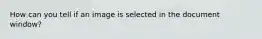 How can you tell if an image is selected in the document window?