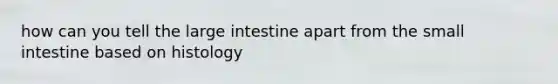 how can you tell the large intestine apart from the small intestine based on histology