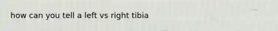 how can you tell a left vs right tibia