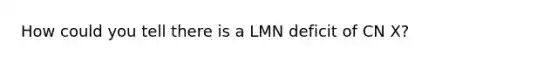 How could you tell there is a LMN deficit of CN X?