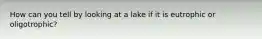 How can you tell by looking at a lake if it is eutrophic or oligotrophic?