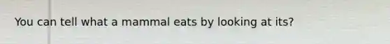 You can tell what a mammal eats by looking at its?
