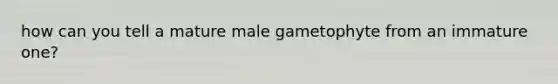 how can you tell a mature male gametophyte from an immature one?