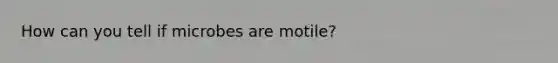 How can you tell if microbes are motile?