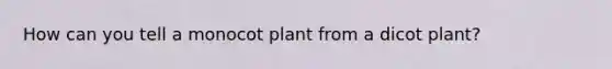 How can you tell a monocot plant from a dicot plant?