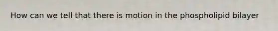 How can we tell that there is motion in the phospholipid bilayer