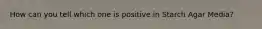 How can you tell which one is positive in Starch Agar Media?