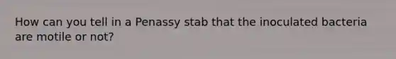 How can you tell in a Penassy stab that the inoculated bacteria are motile or not?