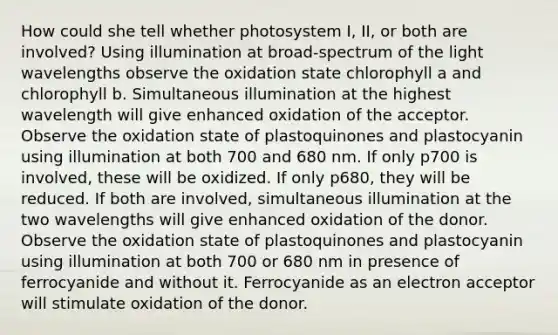 How could she tell whether photosystem I, II, or both are involved? Using illumination at broad-spectrum of the light wavelengths observe the oxidation state chlorophyll a and chlorophyll b. Simultaneous illumination at the highest wavelength will give enhanced oxidation of the acceptor. Observe the oxidation state of plastoquinones and plastocyanin using illumination at both 700 and 680 nm. If only p700 is involved, these will be oxidized. If only p680, they will be reduced. If both are involved, simultaneous illumination at the two wavelengths will give enhanced oxidation of the donor. Observe the oxidation state of plastoquinones and plastocyanin using illumination at both 700 or 680 nm in presence of ferrocyanide and without it. Ferrocyanide as an electron acceptor will stimulate oxidation of the donor.