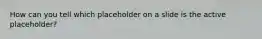 How can you tell which placeholder on a slide is the active placeholder?