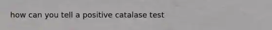 how can you tell a positive catalase test