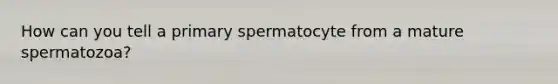 How can you tell a primary spermatocyte from a mature spermatozoa?