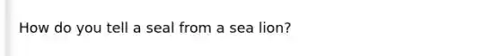 How do you tell a seal from a sea lion?