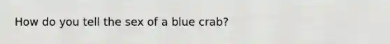 How do you tell the sex of a blue crab?