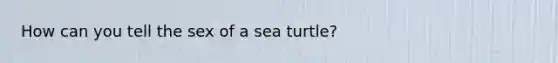 How can you tell the sex of a sea turtle?