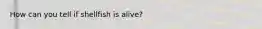 How can you tell if shellfish is alive?
