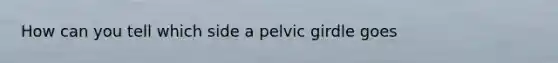 How can you tell which side a pelvic girdle goes