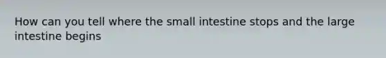 How can you tell where the small intestine stops and the large intestine begins