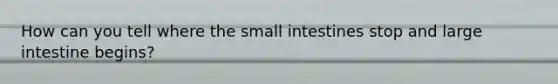 How can you tell where the small intestines stop and large intestine begins?