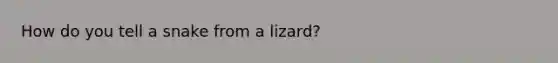 How do you tell a snake from a lizard?