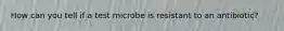 How can you tell if a test microbe is resistant to an antibiotic?