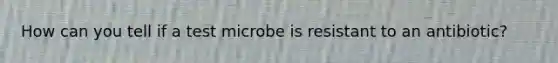 How can you tell if a test microbe is resistant to an antibiotic?