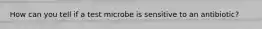 How can you tell if a test microbe is sensitive to an antibiotic?