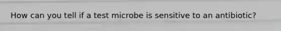 How can you tell if a test microbe is sensitive to an antibiotic?