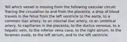 Tell which vessel is missing from the following vascular circuit: Tracing the circulation to and from the placenta, a drop of blood travels in the fetus from the left ventricle to the aorta, to a common iliac artery, to an internal iliac artery, to an umbilical artery, to capillaries in the placenta, to the ductus venosus, to a hepatic vein, to the inferior vena cava, to the right atrium, to the foramen ovale, to the left atrium, and to the left ventricle.