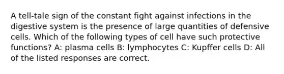 A tell-tale sign of the constant fight against infections in the digestive system is the presence of large quantities of defensive cells. Which of the following types of cell have such protective functions? A: plasma cells B: lymphocytes C: Kupffer cells D: All of the listed responses are correct.