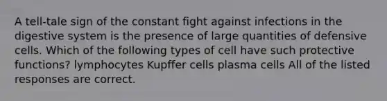 A tell-tale sign of the constant fight against infections in the digestive system is the presence of large quantities of defensive cells. Which of the following types of cell have such protective functions? lymphocytes Kupffer cells plasma cells All of the listed responses are correct.