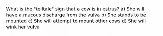 What is the "telltale" sign that a cow is in estrus? a) She will have a mucous discharge from the vulva b) She stands to be mounted c) She will attempt to mount other cows d) She will wink her vulva