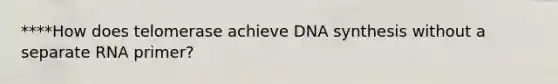 ****How does telomerase achieve DNA synthesis without a separate RNA primer?