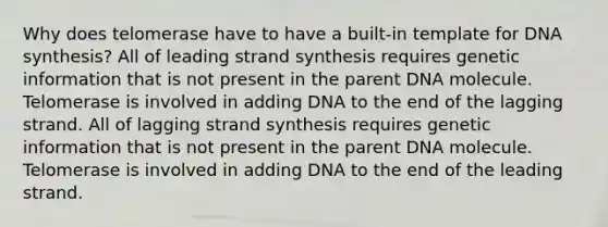 Why does telomerase have to have a built-in template for DNA synthesis? All of leading strand synthesis requires genetic information that is not present in the parent DNA molecule. Telomerase is involved in adding DNA to the end of the lagging strand. All of lagging strand synthesis requires genetic information that is not present in the parent DNA molecule. Telomerase is involved in adding DNA to the end of the leading strand.