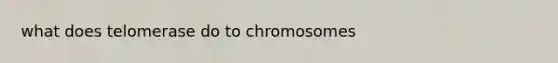 what does telomerase do to chromosomes