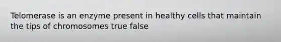 Telomerase is an enzyme present in healthy cells that maintain the tips of chromosomes true false