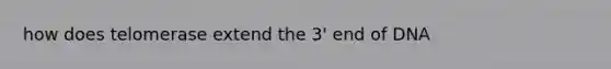 how does telomerase extend the 3' end of DNA