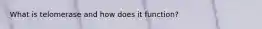 What is telomerase and how does it function?