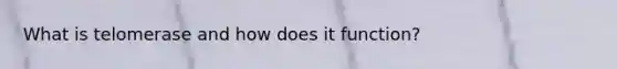 What is telomerase and how does it function?